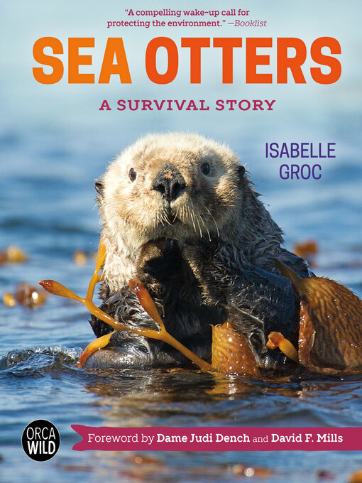 Title details for Sea Otters by Isabelle Groc - Available